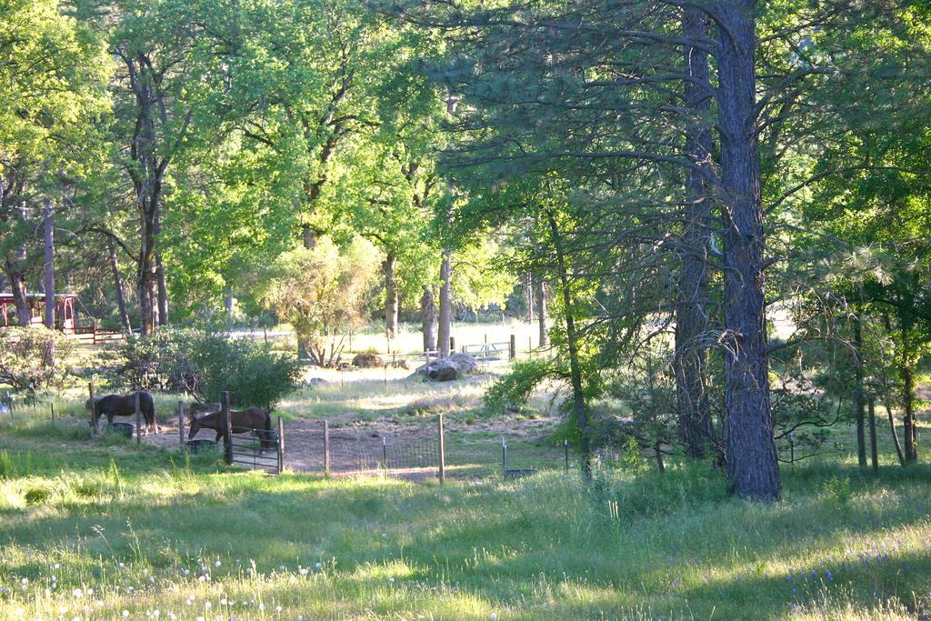 Villa Little Red Caboose Oakhurst Exterior foto